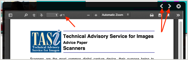 PDF viewer with next page and previous page buttons highlighted